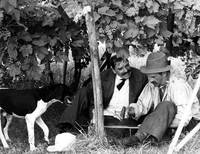 Кадр Двадцатый век