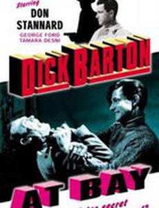 Дик Бартон и бухта