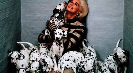 Кадр из фильма "102 далматинца" - 2