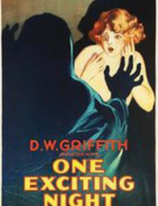 Одна тревожная ночь