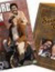 Санфорд и сын