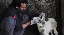 Кадр из фильма "Четырежды" - 1