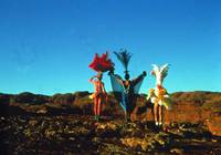 Кадр Приключения Присциллы, королевы пустыни