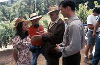 Кадр Прогулка в облаках