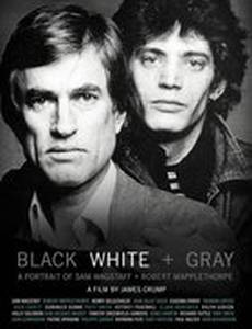 Black White + Gray: A Portrait of Sam Wagstaff and Robert Mapplethorpe