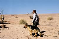 Кадр У холмов есть глаза