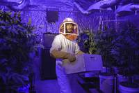 Кадр Крутые кексы