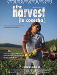 The Harvest/La Cosecha