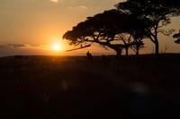 Кадр Путешествие Гектора в поисках счастья