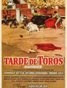 Tarde de toros