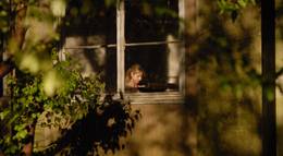 Кадр из фильма "Вероника решает умереть" - 1