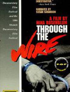 Through the Wire