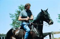 Кадр Последний альянс