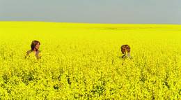 Кадр из фильма "Все идет по плану" - 1