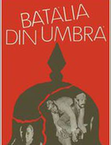 Бой с тенью