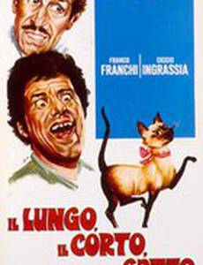 Длинный короткий кот