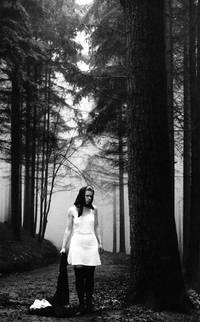 Кадр Повозка в Вену