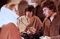 Кадр Лев зимой