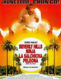 Постер из фильма "Ниндзя из Беверли Хиллз" - 1