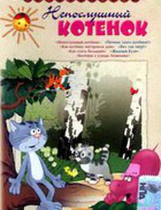 Непослушный котёнок