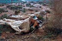 Кадр Грязная игра