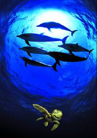 Постер Большое путешествие вглубь океанов 3D