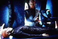 Кадр Земля: Последний конфликт