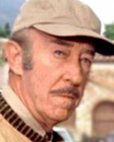 Дон Броди фото