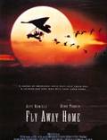 Постер из фильма "Летите домой" - 1