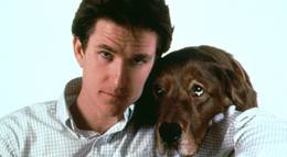 Кадр из фильма "Флюк" - 1