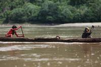 Кадр Зеленый ад