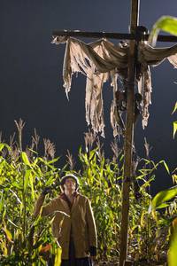 Кадр Земля вампиров