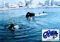 Кадр Смерть среди айсбергов