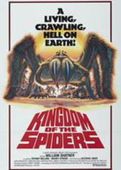 Царство пауков