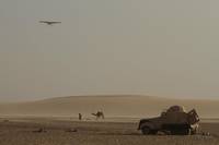 Кадр Черное золото