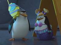 Кадр Пингвины Мадагаскара