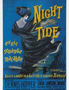 Ночное течение