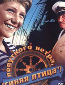 Попутного ветра, «Синяя птица»!