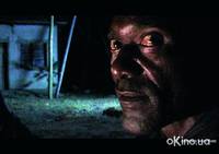 Кадр Кошмар Дарвина