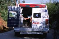 Кадр Луковые новости