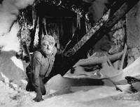 Кадр Франкенштейн встречает Человека-волка