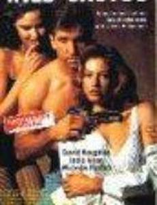 Дикий кактус