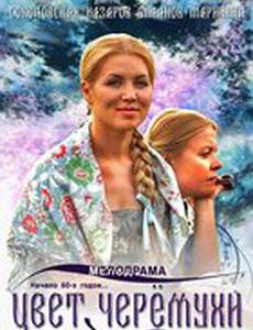 Цвет черемухи