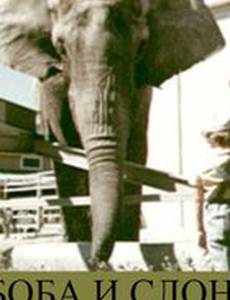 Боба и слон