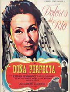 Doña Perfecta