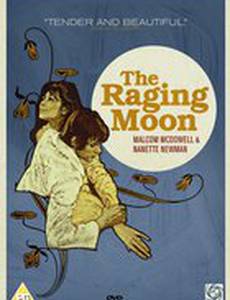 Бешеная луна