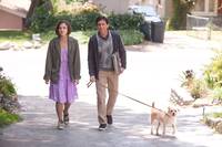 Кадр Ищу друга на конец света