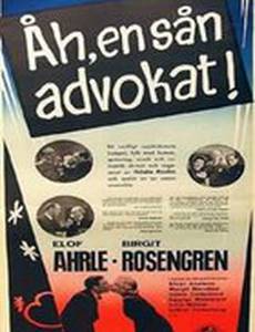 Åh, en så'n advokat