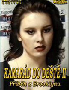 Друг в непогоду 2 – Бруклинская история