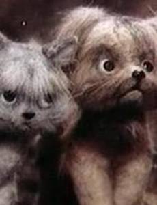 Мы идем искать